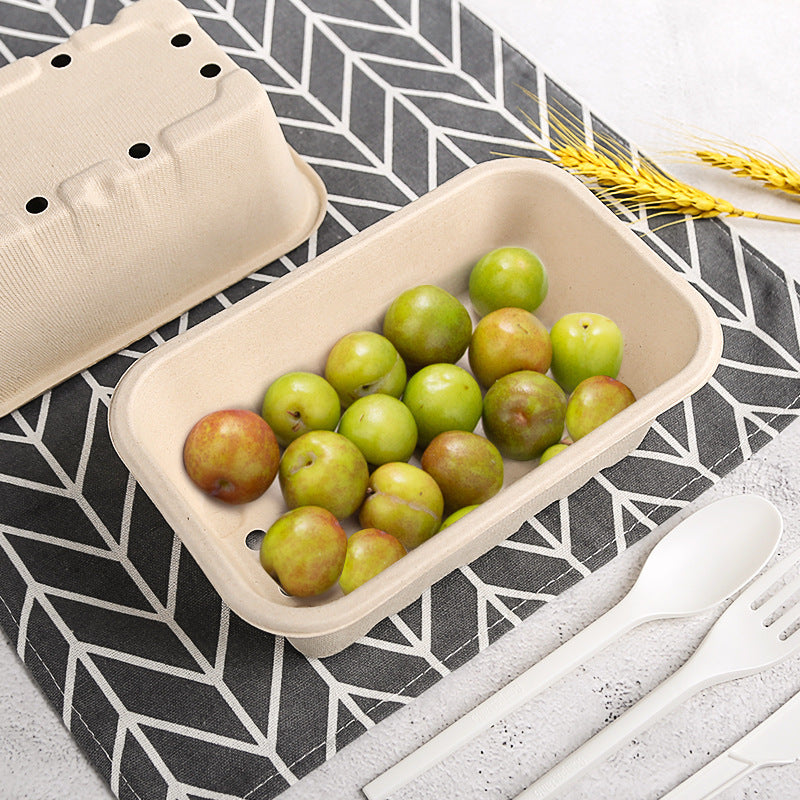 Wexdaro Disposable Pulp Picnic Food Containers — product image 3