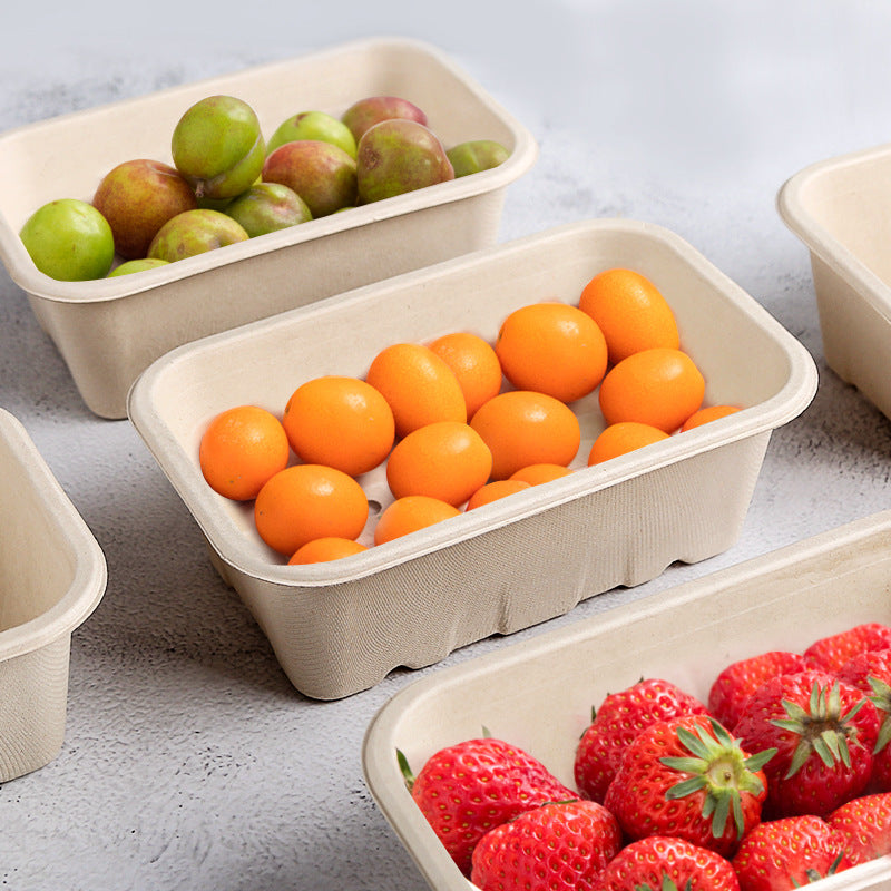 Wexdaro Disposable Pulp Picnic Food Containers — product image 2